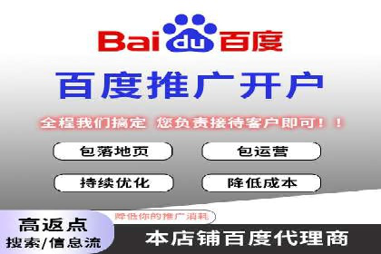 SEM代理助力品牌：案例解析与优化策略
